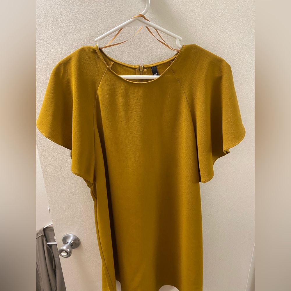 Zara dress